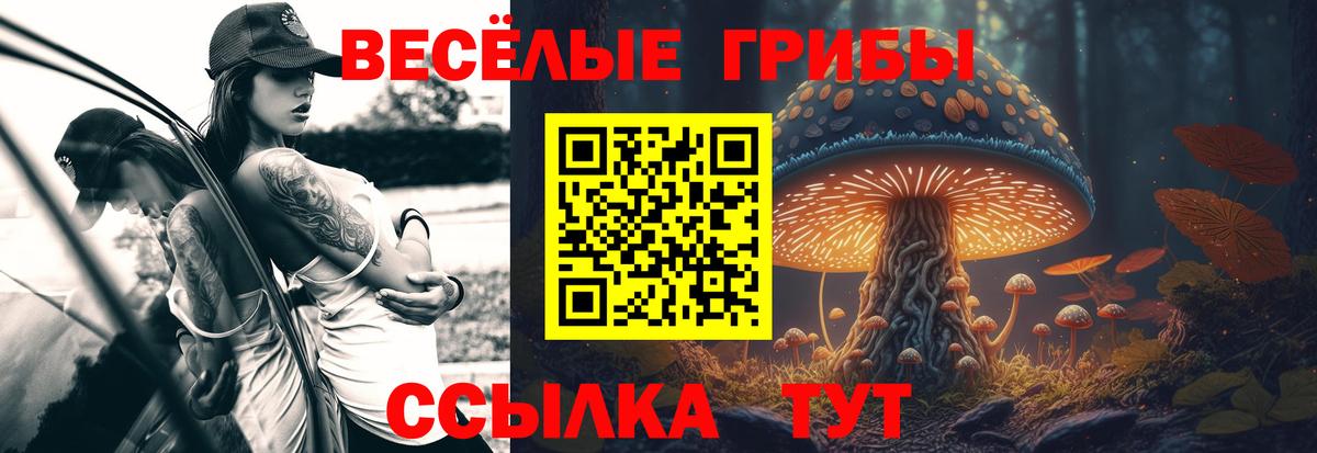 Псилоцибиновые грибы MAGIC MUSHROOMS Малоярославец